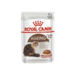 85g-ageing-cat-2