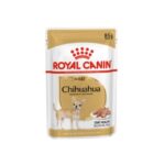 85g-chihuahua