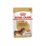 85g-dachshund