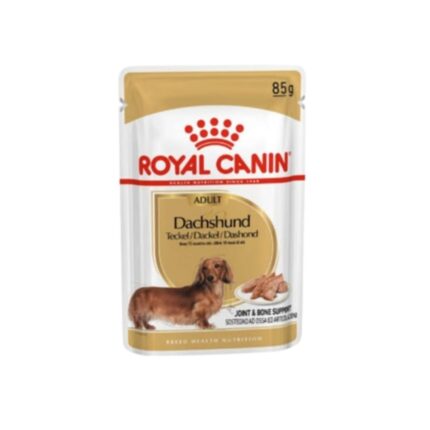 85g-dachshund