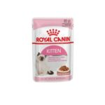 85g-kitten