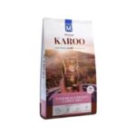 Karoo-kitten-new