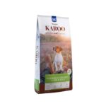 Karoo-puppy-new