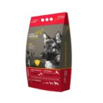 Lionels-choice-adult-new