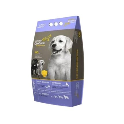 Lionels-choice-puppy-new