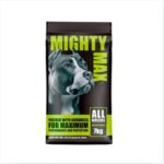 Mighty-max-new