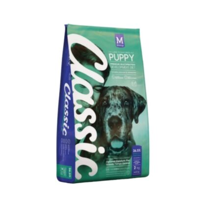 Montego-puppy-lb-new