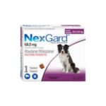 Nexgard-10-25kg-meds