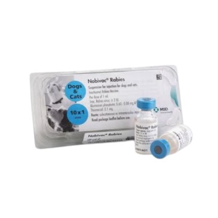 Rabies-meds