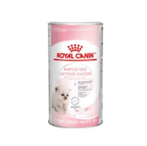 Rc-baby-cat-milk