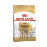 Rc-bulldog-adult
