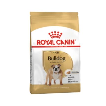 Rc-bulldog-adult