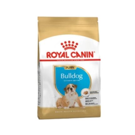 Rc-bulldog-puppy