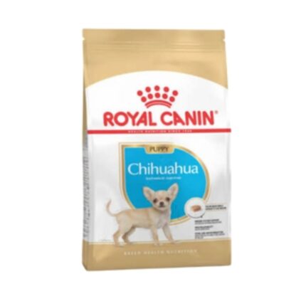 Rc-chihuahua-puppy
