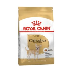 Rc-chuhuahua-adult