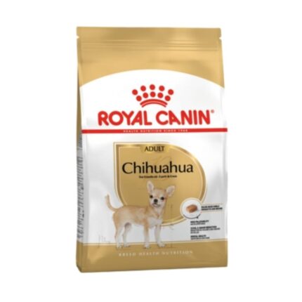 Rc-chuhuahua-adult