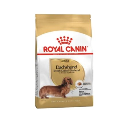 Rc-dachshund-adult
