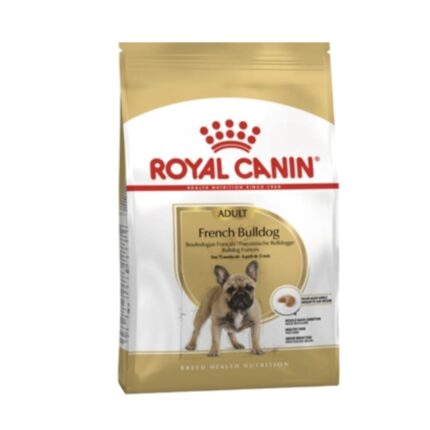 Rc-french-bulldog-adult