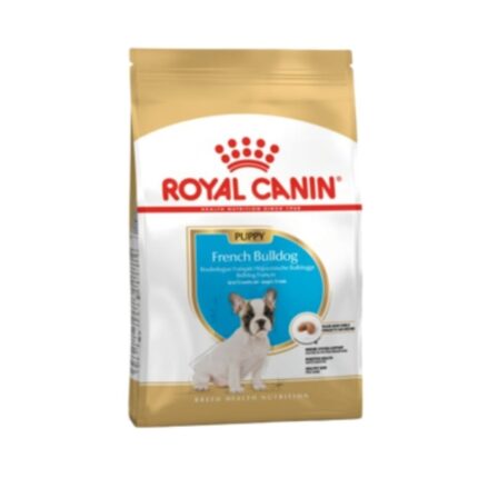 Rc-french-bulldog-puppy