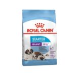 Rc-giant-starter