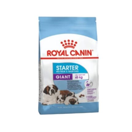 Rc-giant-starter