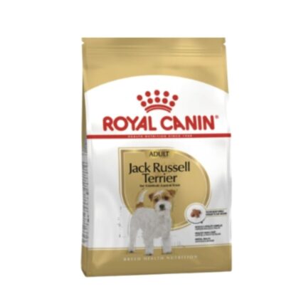 Rc-jack-russel-adult