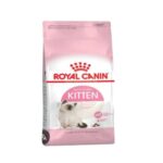 Rc-kitten