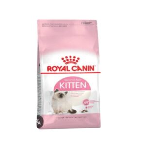 Rc-kitten