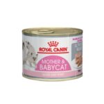 Rc-kitten-mousse