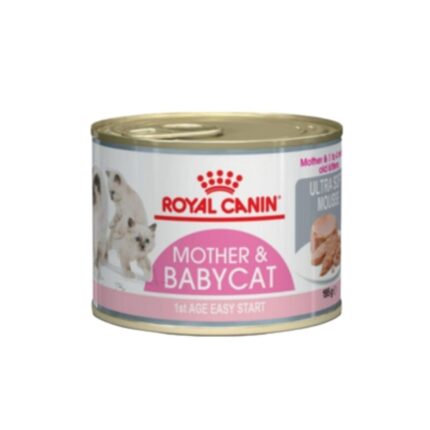 Rc-kitten-mousse