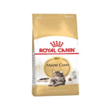 Rc-main-coon-adult