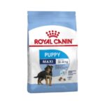 Rc-maxi-puppy