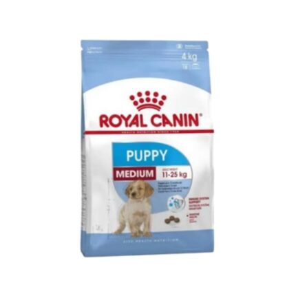 Rc-medium-puppy-2