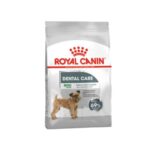 Rc-mini-dental