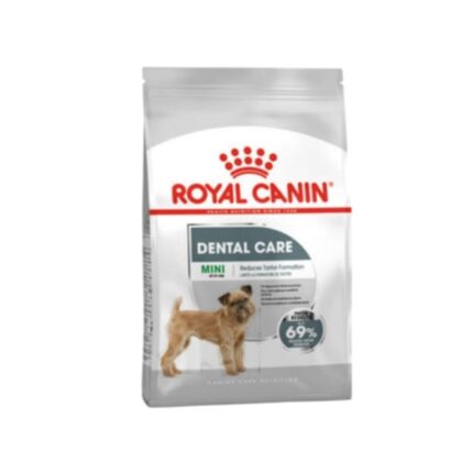 Rc-mini-dental