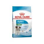 Rc-mini-puppy