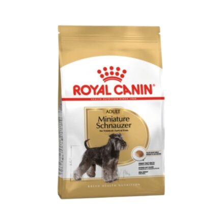 Rc-miniature-schnauzer-2
