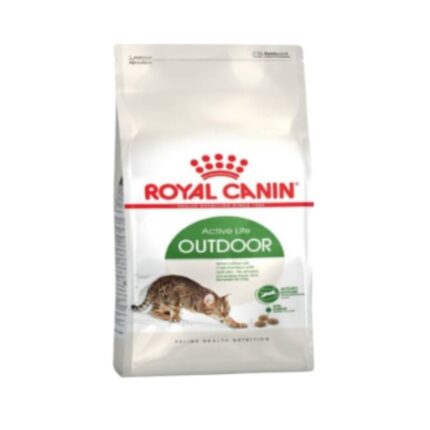 Rc-outdoor-cat