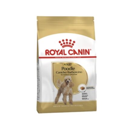 Rc-poodle-adult