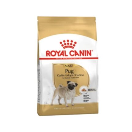 Rc-pug-adult