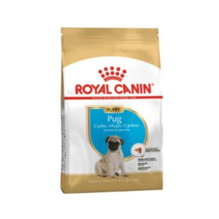 Rc-pug-puppy