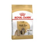 Rc-shih-tzu-adult