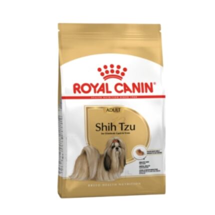 Rc-shih-tzu-adult
