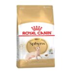 Rc-sphynx-adult