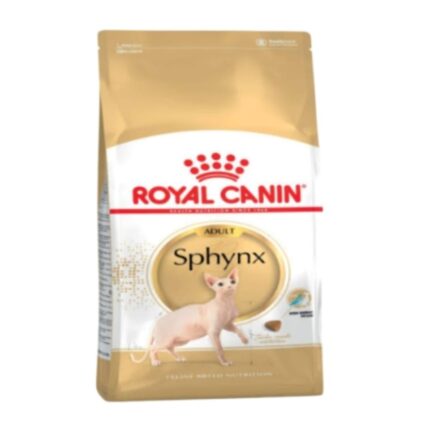 Rc-sphynx-adult