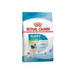 Rc-x-small-puppy