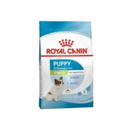 Rc-x-small-puppy