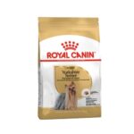 Rc-yorkie-adult