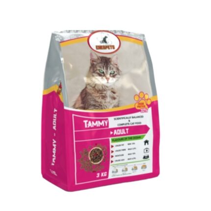 Tammy-cat-new