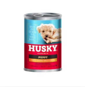 husky-puppy